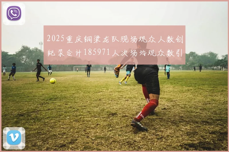 2025重庆铜梁龙队现场观众人数创纪录合计185971人次场均观众数引发热议